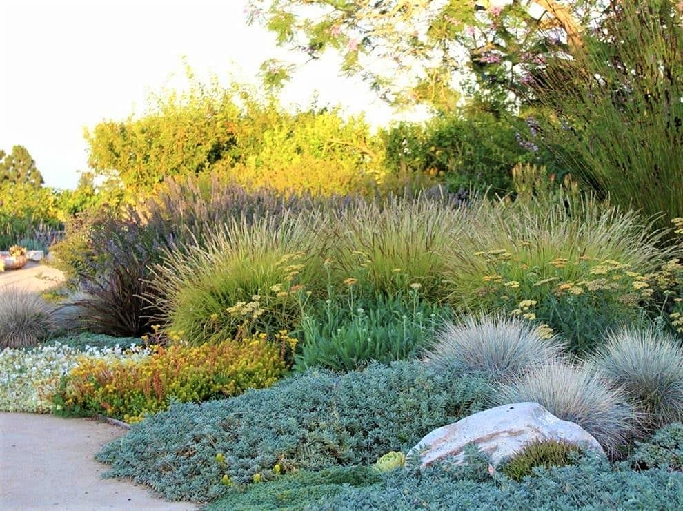 Inscriben a la 2° charla de Jardines Sustentables