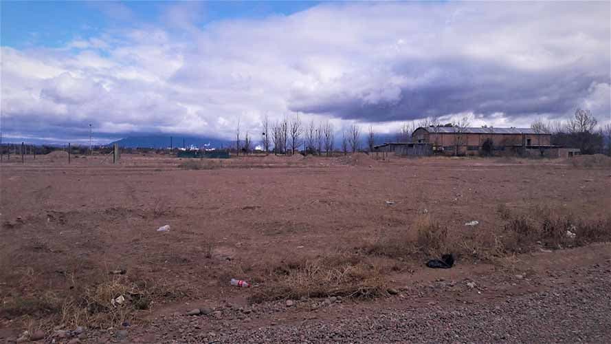 Una ONG ambiental documentó casos de leucemia en Luján de Cuyo