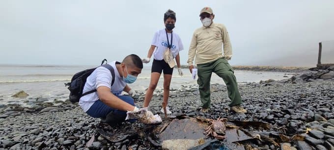 Perú declaró la «emergencia ambiental» durante 90 días por el derrame de petrolero
