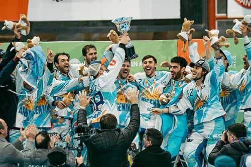 Argentina es campeona del primer sudamericano sobre de hockey en línea