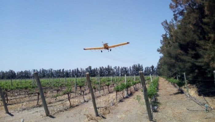 El sábado inician los vuelos en los oasis Norte y Este para controlar la polilla de la vid