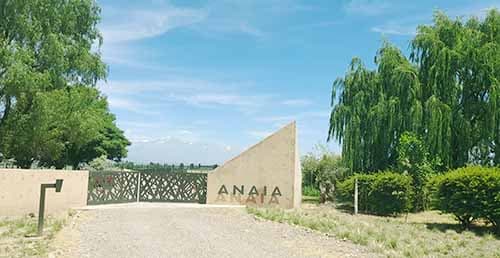 Anaia Wines es la bodega de Agrelo que ganó el oro en arquitectura y paisaje