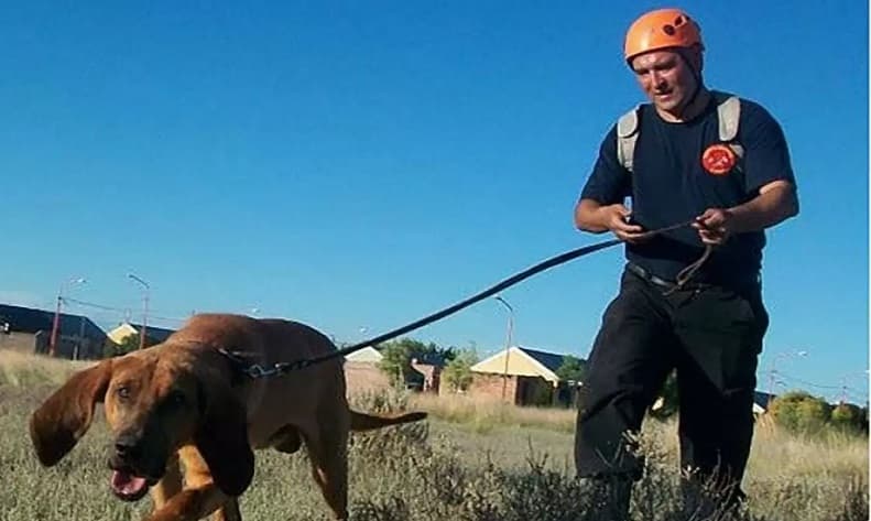 El rastreador Marcos Herrero fue condenado a 8 meses acusado de plantar pruebas en el caso de Viviana Luna en Potrerillos
