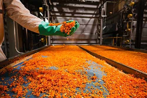 La más grande deshidratadora de vegetales de Knorr está en Mendoza y abrió su cocina