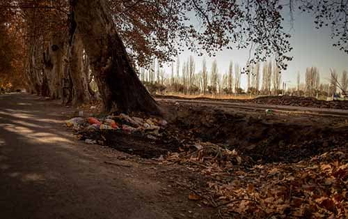 Cambio climático: Luján en la tríada “árbol-agua-acequia”