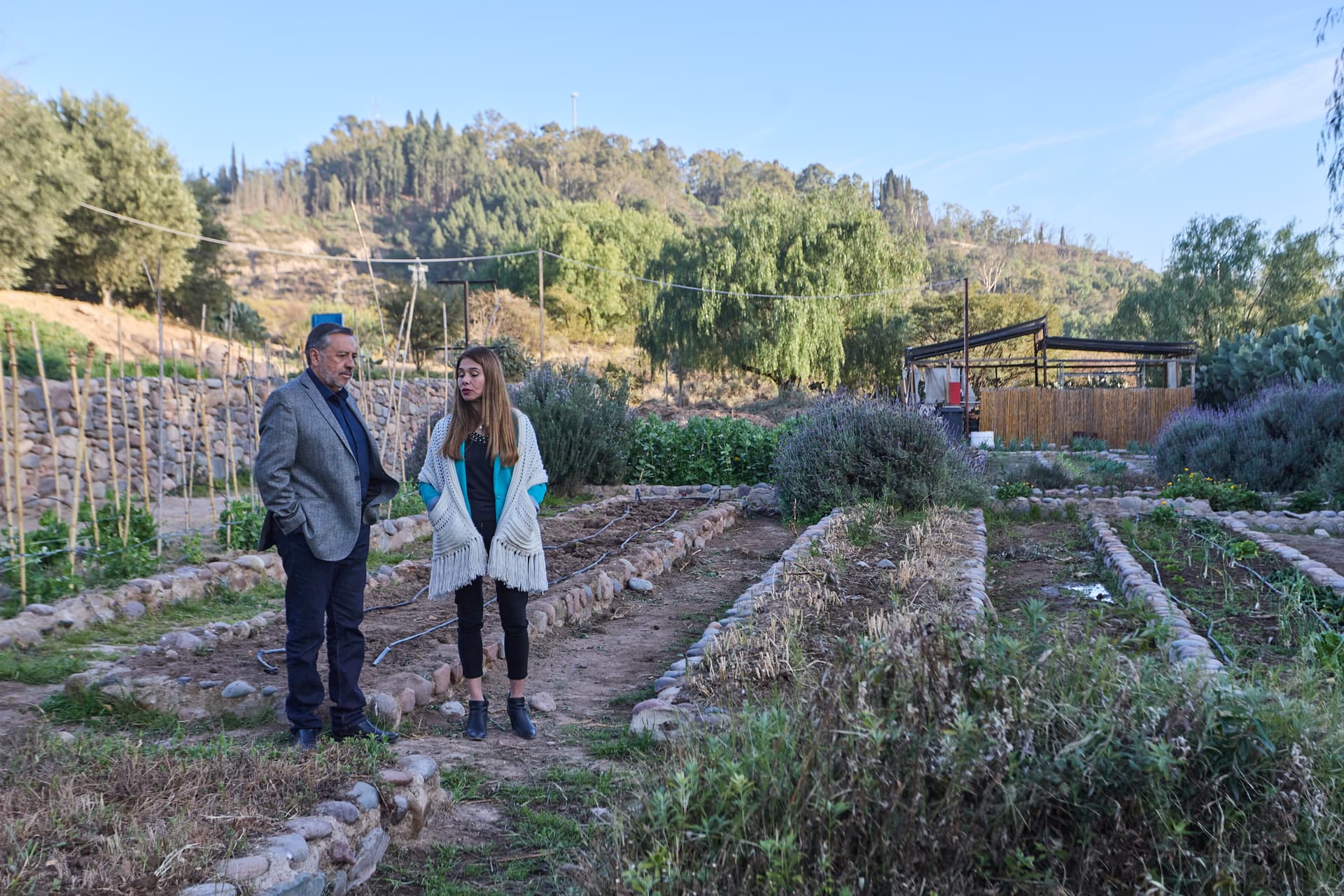 Sequía: Irrigación y el Liceo Agrícola inician el riego de césped y vides con aguas grises