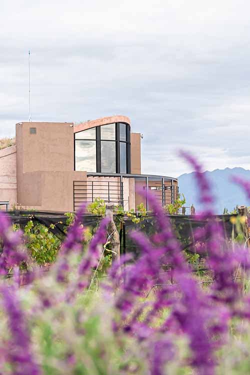 Alpamanta, la bodega de Luján que ganó el oro en sustentabilidad