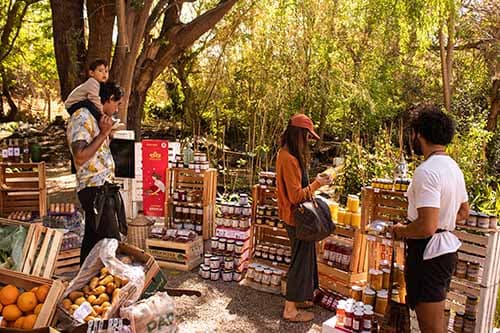 Llega la Expo Mundo Natural el 4 y 5 de noviembre en La Nave