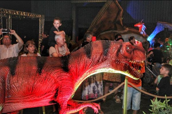 Dino Experience