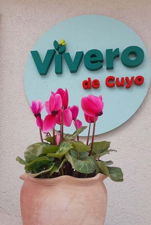 Vivero de Cuyo cumple un año y se proyecta en Luján.