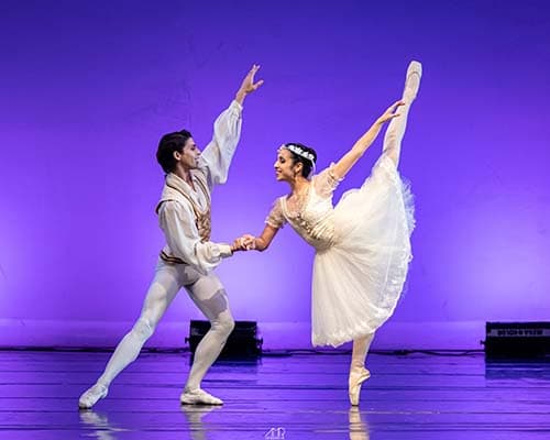 Gran Gala de Ballet en el Independencia para el lunes 27 de mayo. Lago de los Cisnes