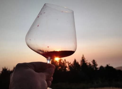 cabernet