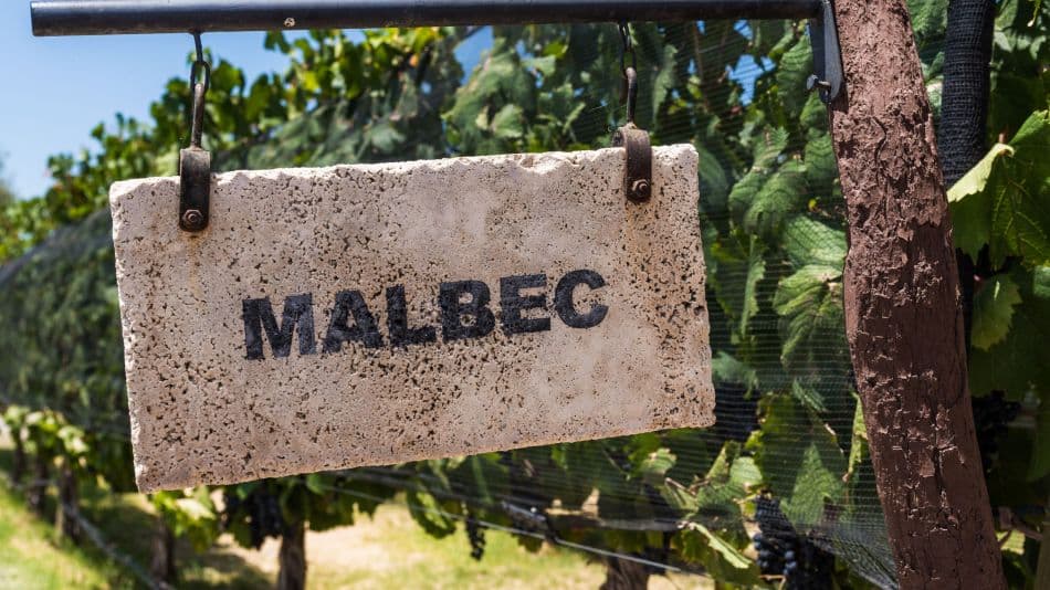 Día del Malbec en Luján: eventos y descuentos del 50%.