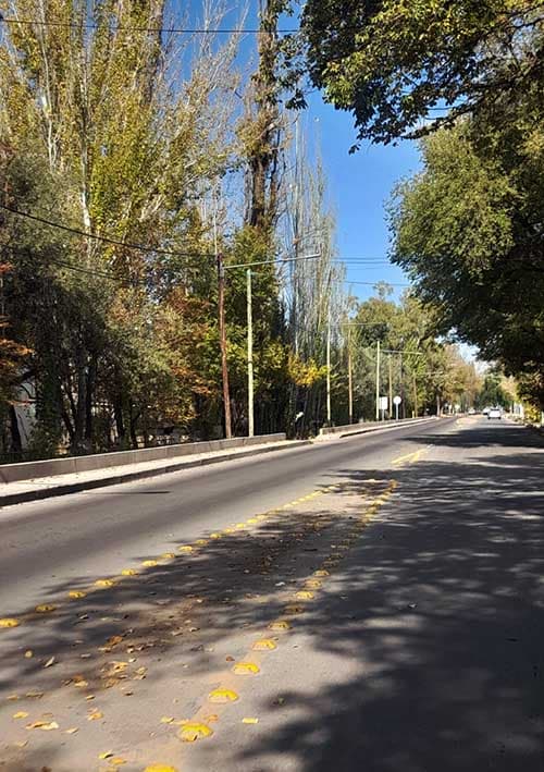 Zonda y frío en Mendoza: baja de 10ºC.