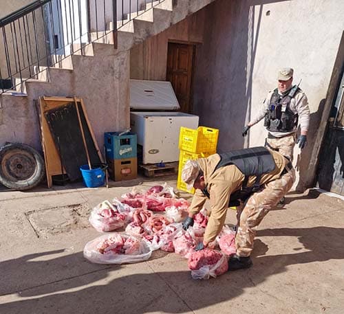 Decomisaron 63 kilos de carne en mal estado en Luján de Cuyo.