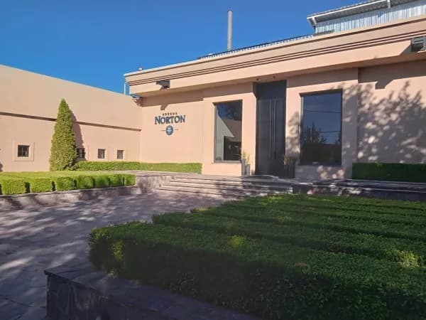 La Justicia dio las fechas para avanzar con el concurso de Norton