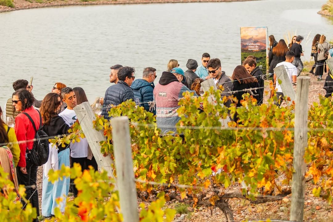 Wine Rock Sessions 2026 llega en marzo con mucha onda