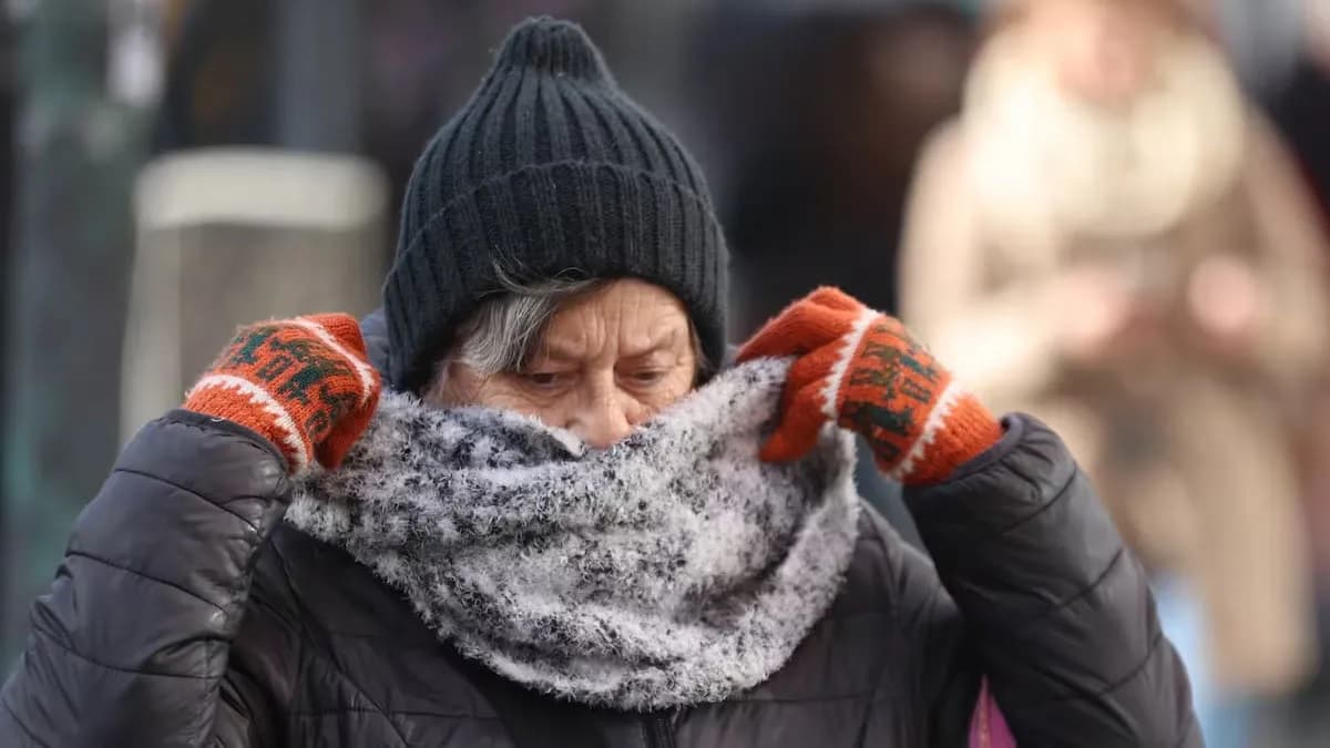 Ingresa una ola polar en Mendoza con heladas y nevadas
