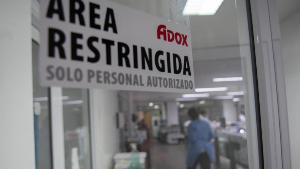 Argentina registró el primer fallecido por el «hongo negro»