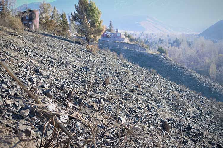 Incendio: Sumá Nativas comienza una innovadora plantación comunitaria en Potrerillos