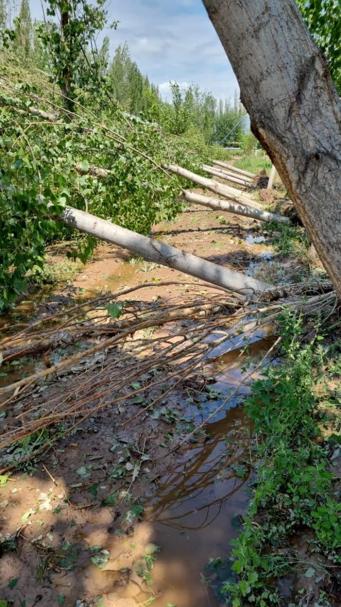Tres distritos de Luján en emergencia por el granizo