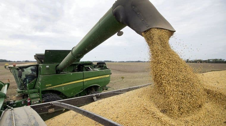 Argentina suspendió las exportaciones de harina y aceite de soja