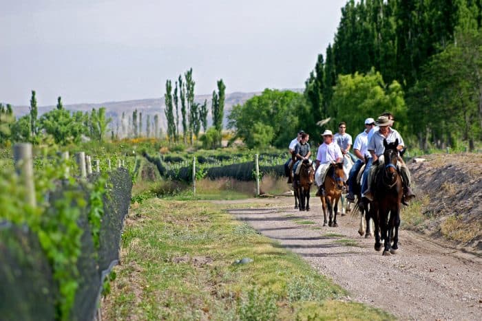 El Turismo del Vino tendrá su primer Encuentro Regional en Mendoza