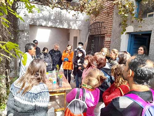 Dónde conseguir plantas nativas en Chacras de Coria y Potrerillos