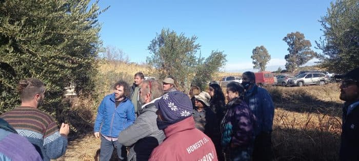 Inició capacitaciones a productores olivícolas en Luján y otras zonas