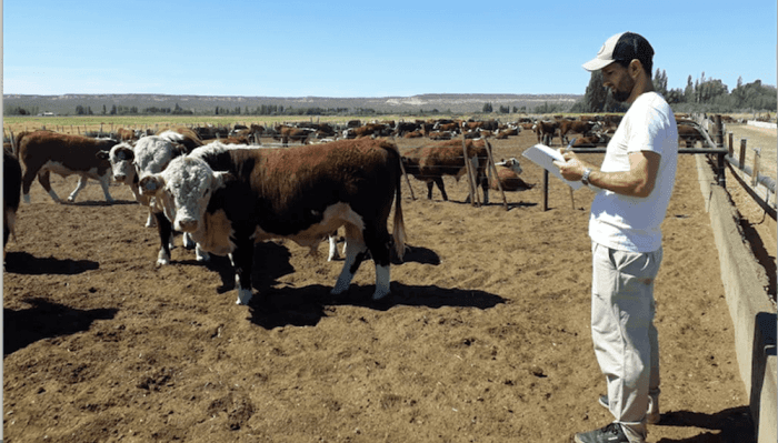 Con 3 años de sequía, Mendoza declaró el desastre agropecuario y transfiere más de $210 millones al sector