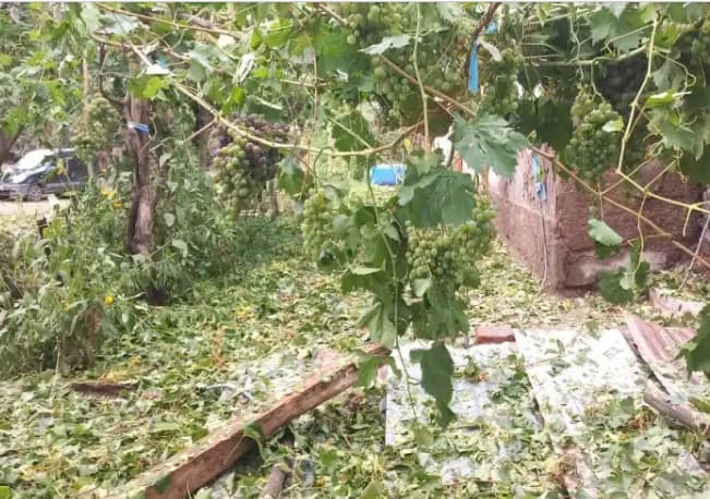 El granizo afectó al Este, Maipú y dejó daños importantes en Luján