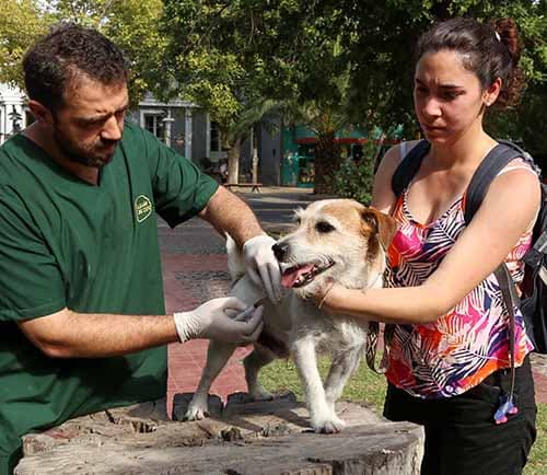 Día del Animal