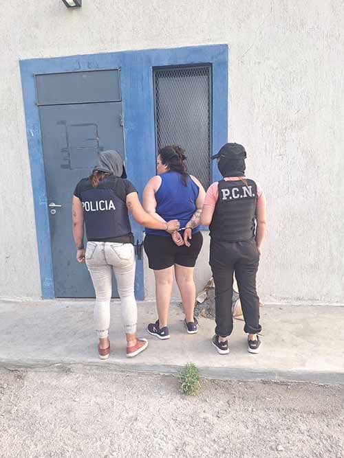Allanamientos en Luján y Maipú por venta de droga