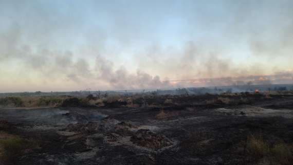 Otro incendio sofocado por Bomberos de Luján: 20 hectáreas arrasadas en El Carrizal