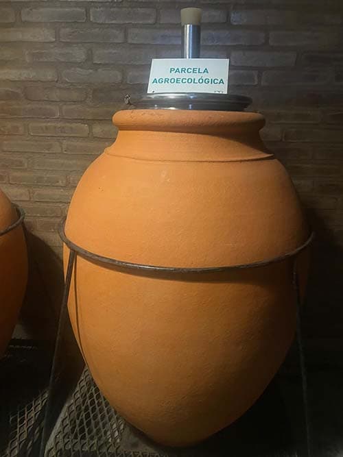 Ánforas para vino agroecológico