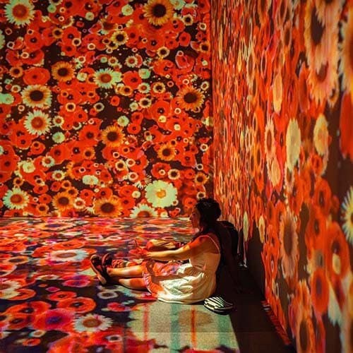 Arte inmersivo: mundo Van Gogh sigue hasta el 12 de febrero