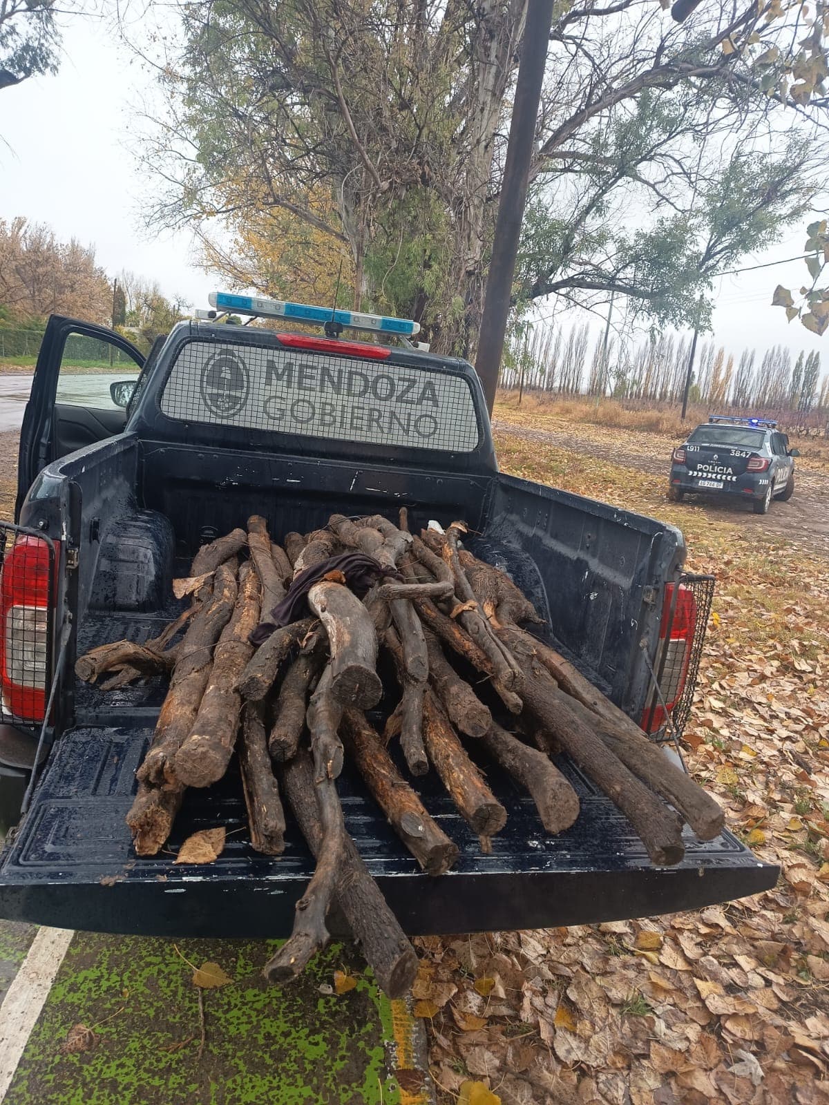Cuatro detenidos por el robo de palos Agrelo