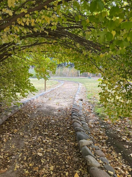 Un jardín botánico escondido en Chacras de Coria