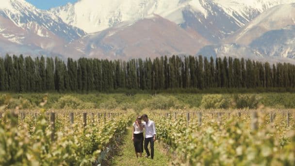 Todo listo para el Best Of Mendoza´s Wines Tourism del 12 de septiembre