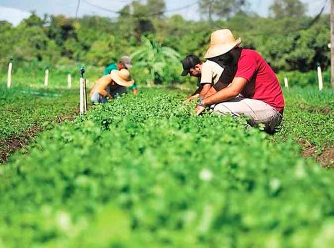 El programa Buena Cosecha acompañará a lo hijos de trabajadores agrícolas de Luján
