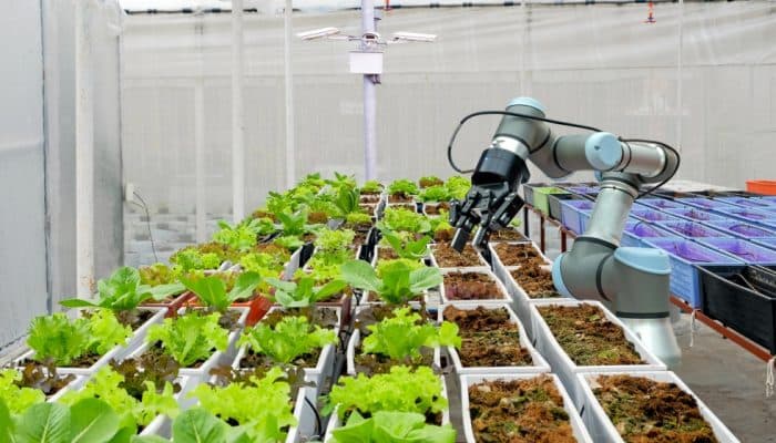 Otorgan créditos blandos para proyectos de alto impacto tecnológico
