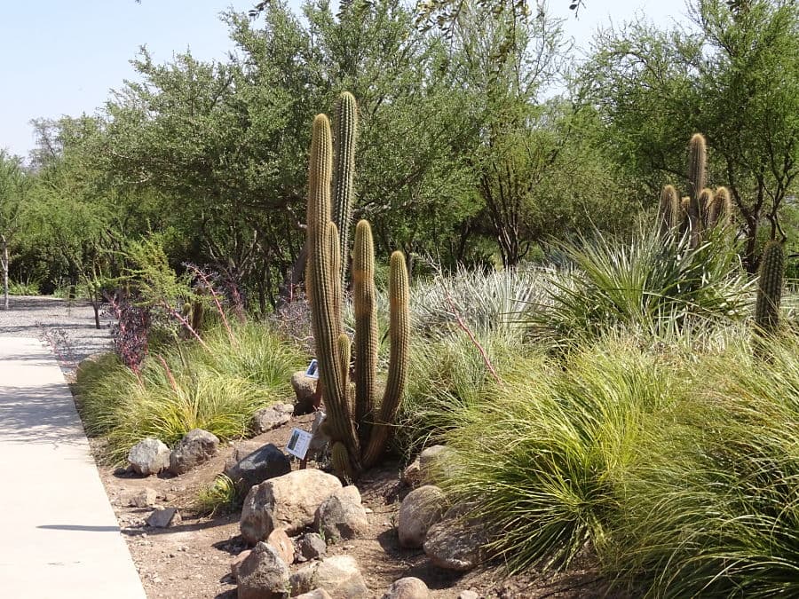 Un concurso de jardín ofrece la eximición de un impuesto anual