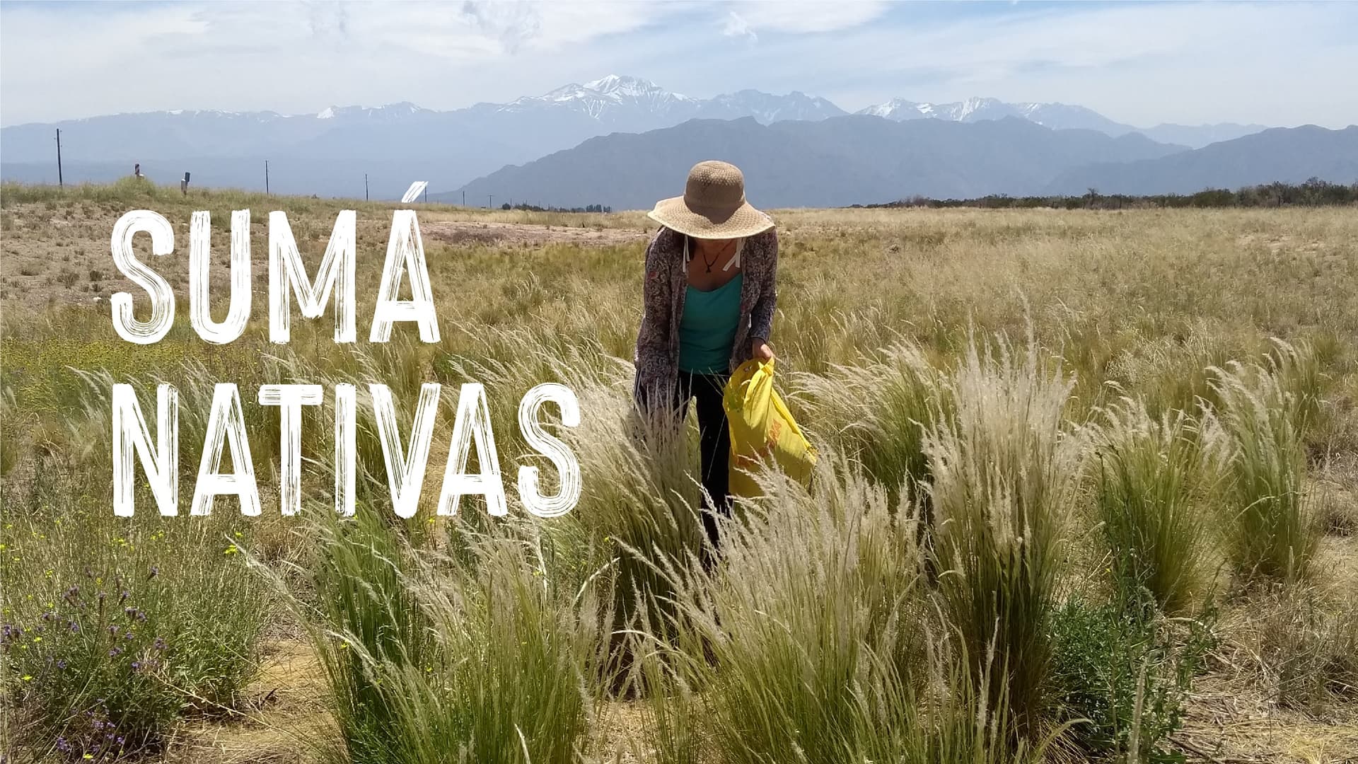 Una iniciativa solidaria restaurará la cuenca del Río Mendoza