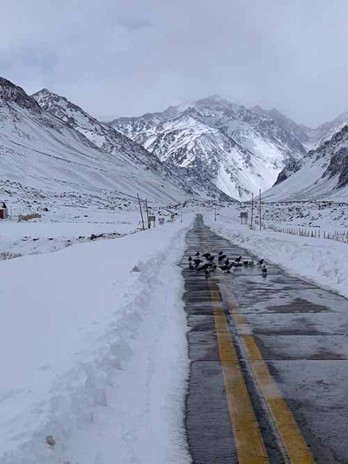Nevadas 14 de mayo: Siguen suspendidas las clases en Potrerillos y otras zonas.