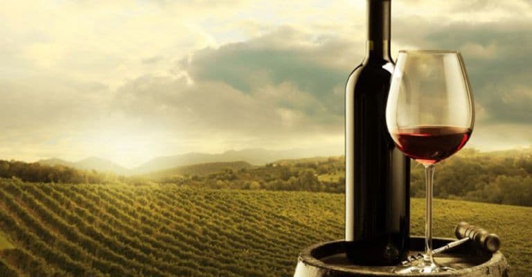 Dos bodegas se sumaron a la D.O.C. Luján de Cuyo para proteger al Malbec
