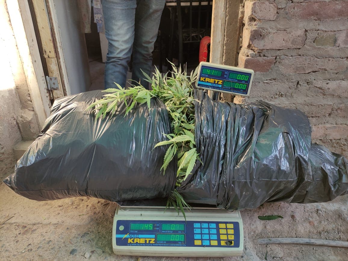 Detuvieron a 4 personas en allanamientos antidroga en Mendoza