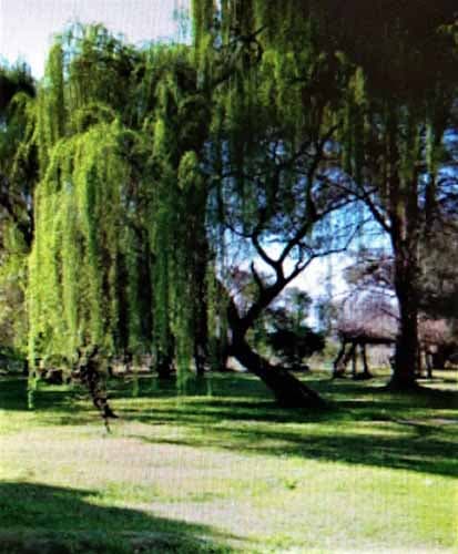 Buscan caseros para la zona de Agrelo