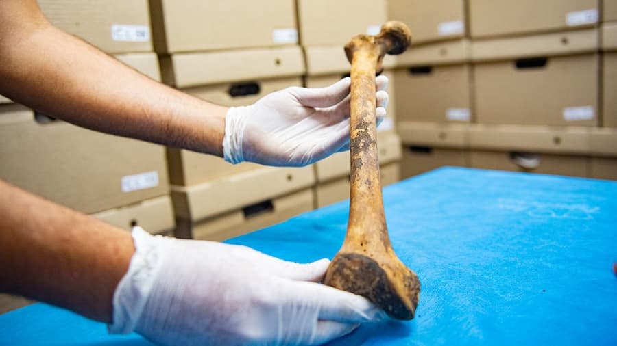 La UNCuyo armó una osteoteca para resolver casos forenses