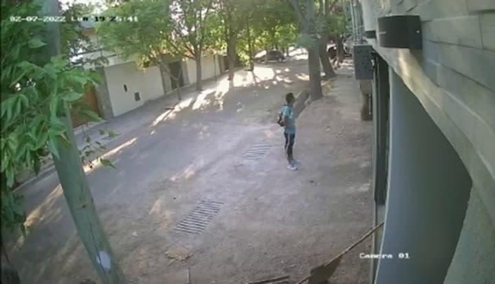 Video: se trepó a un edificio en Carrodilla para robar