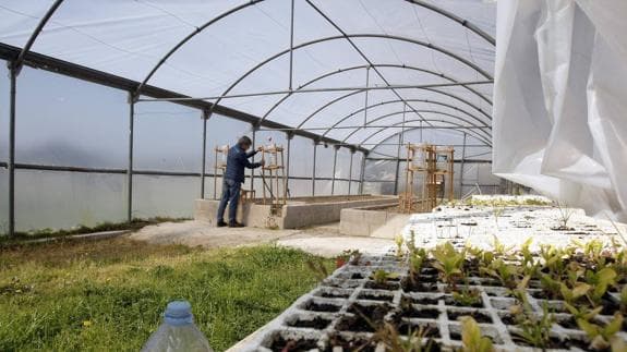 Hasta el 31 de marzo inscriben al «IDR Incuba 2022» para emprendimientos rurales
